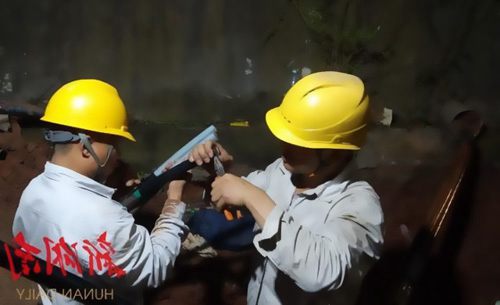 ���޹�늹�˾늾���|����